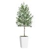 Artificial Olive Tree 7FT with Pot and Moss, Artificial Plants for Home Office Decor