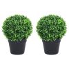 Artificial Boxwood Plants 2 pcs with Pots Ball Shaped Green 12.6"