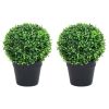 Artificial Boxwood Plants 2 pcs with Pots Ball Shaped Green 14.6"