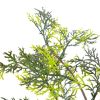 Artificial Plant Cypress Tree with Pot Green 35.4"