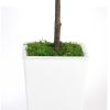 Artificial Olive Tree 7FT with Pot and Moss, Artificial Plants for Home Office Decor