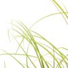 Artificial Grass Plant 31.5"
