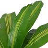 Artificial Dracaena Plant with Pot 35.4" Green